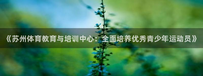 vsport体育官方正版app娱乐下载