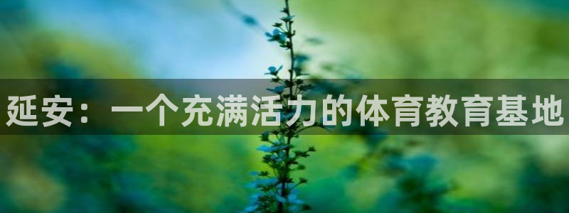 vsport体育官网下载平台是正规平台吗
