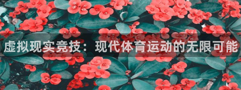 vsport体育官方正版app新能源