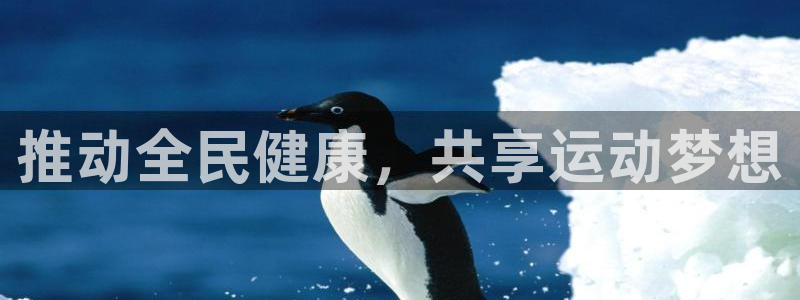 vsport体育官方正版app科技