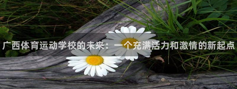 vsport体育官网下载招商电话是多少啊