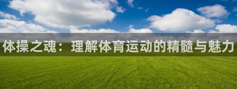 vsport体育官网下载平台是正规平台吗：体操之魂：理解体育