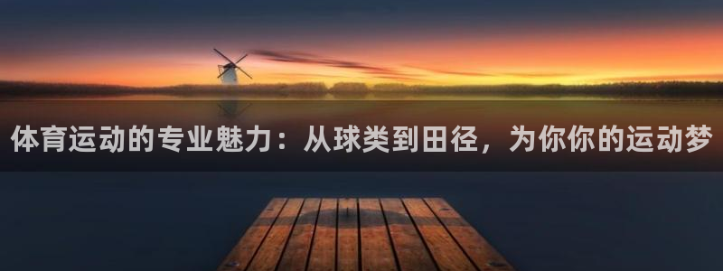 vsport体育官方正版app集团官网首页网址