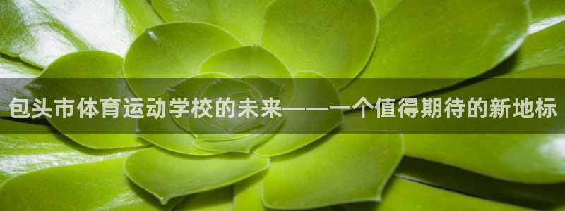 vsport体育官网下载平台注册要钱吗：包头市体育运