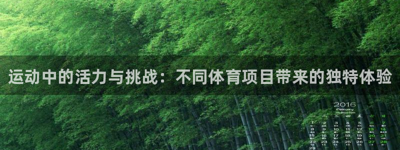 vsport体育官网下载注册：运动中的活力与挑战：不同体育项