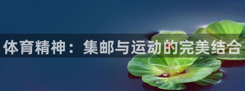 vsport体育官网下载招商电话号码查询是多少：体育