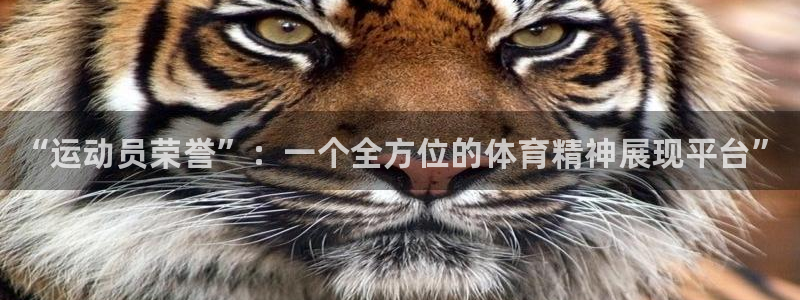 德国vsport体育官方正版app集团：“运动员荣誉