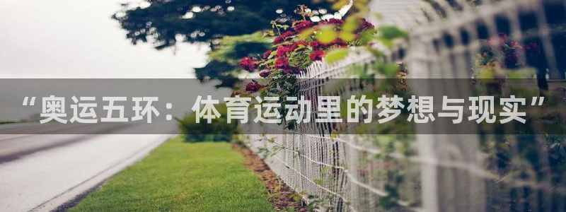 vsport体育官网下载平台注册流程视频：“奥运五环