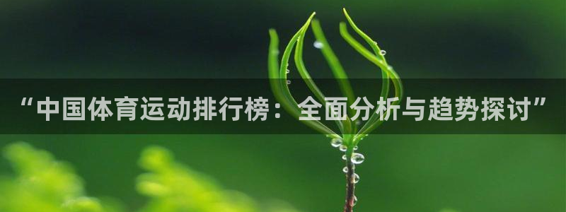 vsport体育官网下载：“中国体育运动排行榜：全面