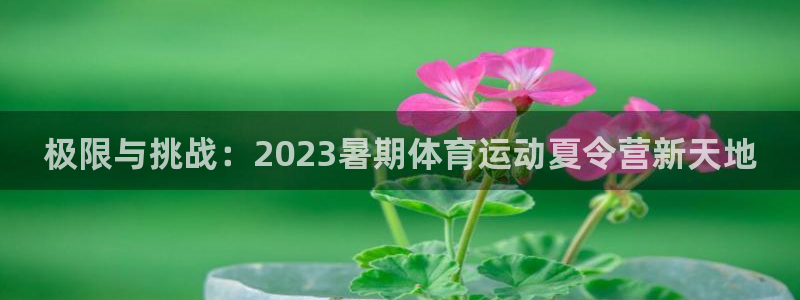 vsport体育官网下载平台注册流程图：极限与挑战：2023