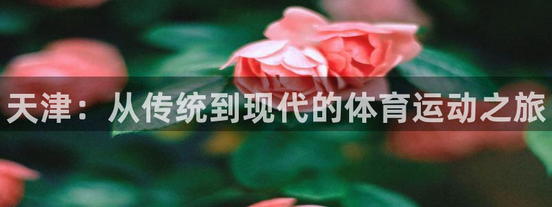vsport体育官网下载招商电话号码查询