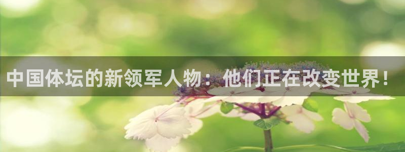 vsport体育官网下载平台注册流程视频：中国体坛的新领军人