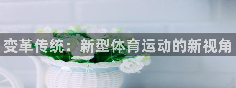 vsport体育官网下载娱乐：变革传统：新型体育运动