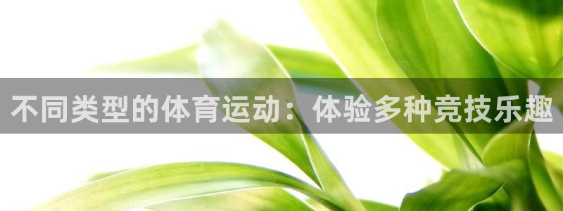 vsport体育官方正版app官网：不同类型的体育运动：体验