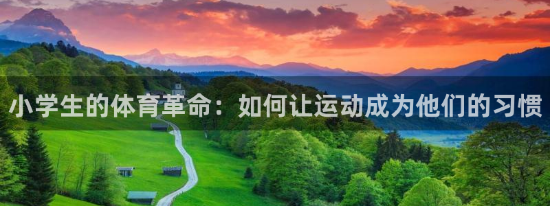 vsport体育官方正版app新能源：小学生的体育革命：如何