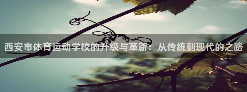 vsport体育官网下载平台是正规平台吗知乎：西安市体育运动