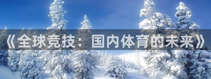 vsport体育官方平台体育：《全球竞技：国内体育的