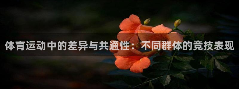 vsport体育官方正版app集团logo：体育运动