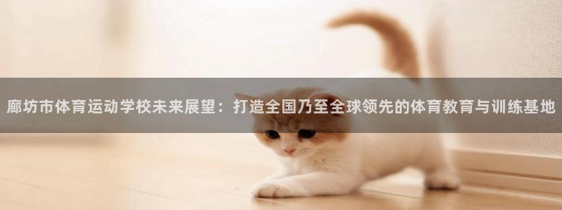 vsport体育官网下载联系电话：廊坊市体育运动学校未来展望