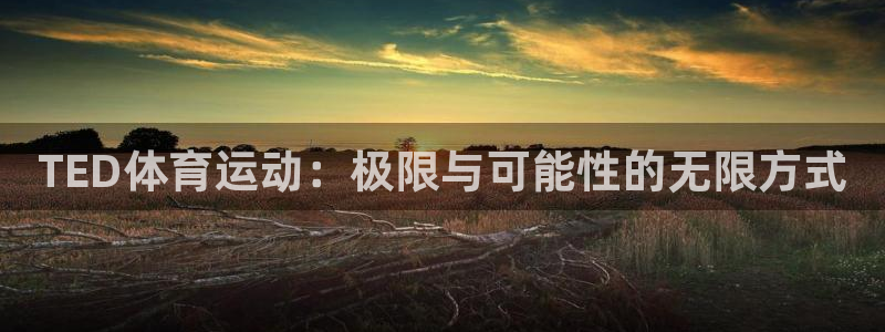 vsport体育官方集团官网