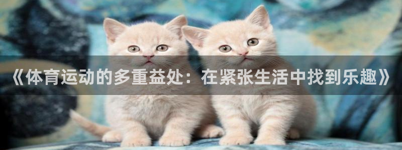 vsport体育官方正版app科技