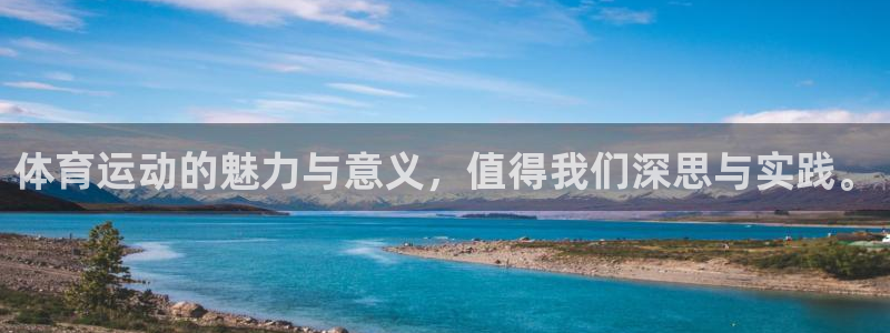 vsport体育官网下载平台是正规平台吗：体育运动的魅力与意