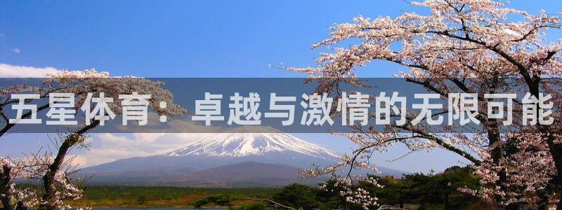 vsport体育官方正版app娱乐代理怎么样：五星体
