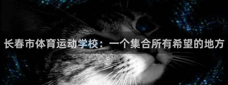 vsport体育官方正版app官方：长春市体育运动学