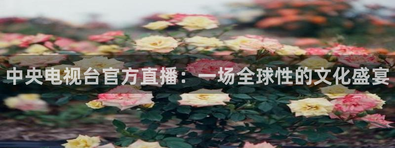 919直播：中央电视台官方直播：一场全球性的文化盛宴