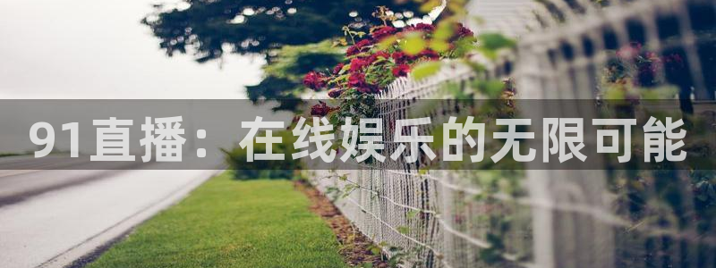 919足球直播 01篮球直播：91直播：在线娱乐的无限可能